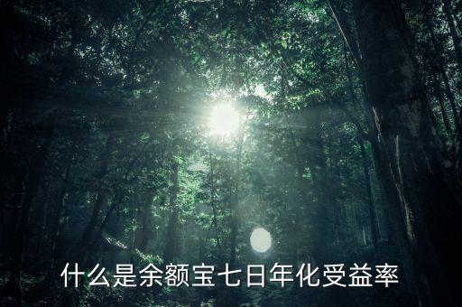 余額寶七日年化收益率是什么意思，什么是余額寶七日年化受益率