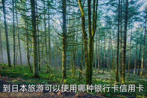 日本可以用什么銀行卡嗎，到日本旅游可以使用哪種銀行卡信用卡