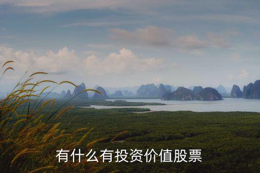 什么股票有投資價(jià)值，有什么有投資價(jià)值股票