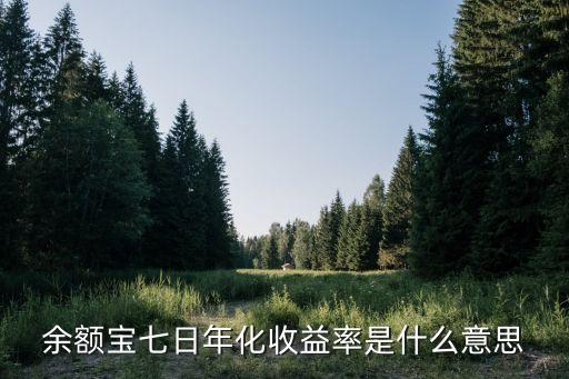 余額寶七日年化收益率是什么意思