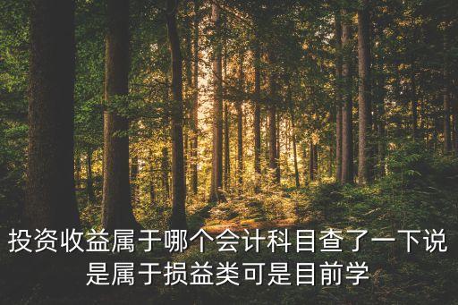 投資收益是什么類科目，投資收益是什么性質(zhì)的賬戶