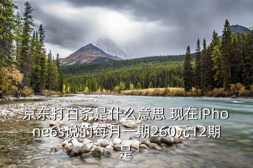 京東打白條是什么意思 現(xiàn)在iPhone6s說的每月一期260元12期是