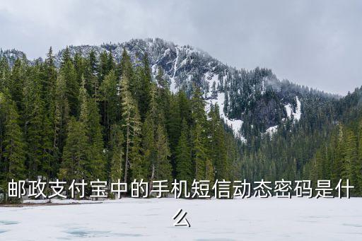 短信動(dòng)態(tài)密碼是什么，網(wǎng)上支付系統(tǒng)下方有手機(jī)短信動(dòng)態(tài)密碼是什么
