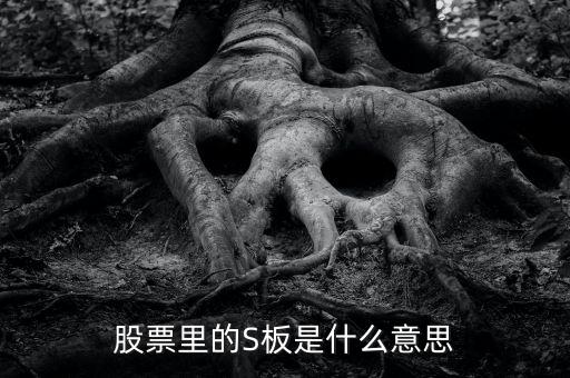 s板塊是什么意思，股票里的S板是什么意思