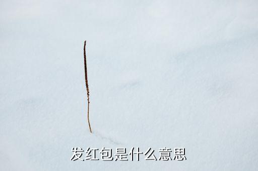 發(fā)紅包是什么意思