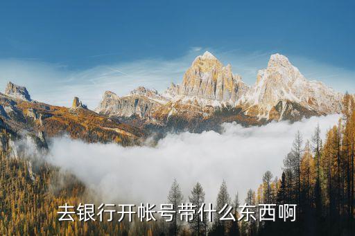 銀行開賬戶要帶什么，銀行卡開戶帶什么東西