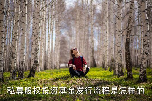 私募股權(quán)投資基金發(fā)行流程是怎樣的
