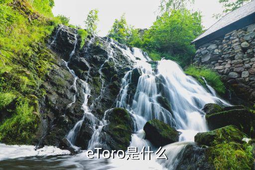 eToro是什么