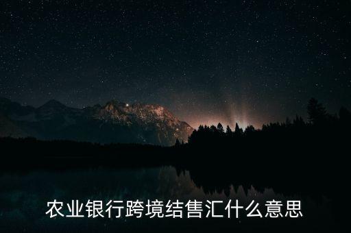 農(nóng)業(yè)銀行跨境結(jié)售匯什么意思