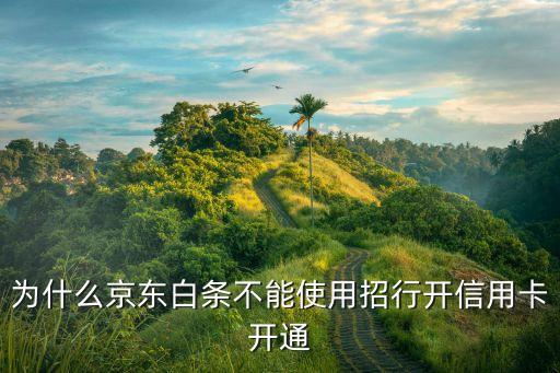 京東白條什么時候支持招商銀行，現(xiàn)在招商信用卡可以在京東打白條嗎
