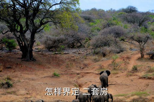 什么算是二套房，關(guān)于二套房的定義