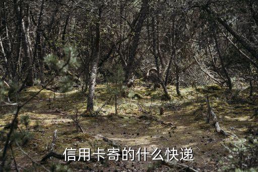 信用卡寄的什么快遞