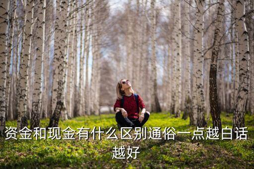 資金和現(xiàn)金有什么區(qū)別通俗一點(diǎn)越白話越好