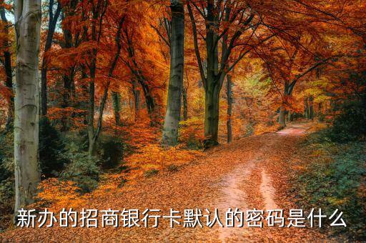 招商銀行辦卡時(shí)的密碼是什么樣的，新辦的招商銀行卡默認(rèn)的密碼是什么
