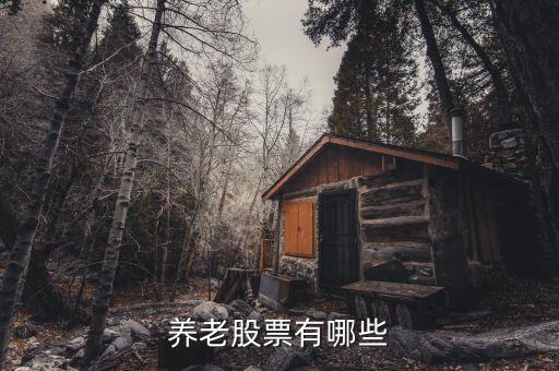 養(yǎng)老a是什么股票，養(yǎng)老股票有哪些