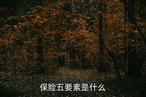 平安保險的要素是什么意思，保險五要素是什么