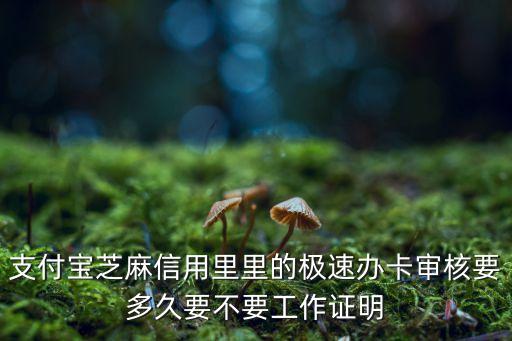 支付寶芝麻信用里里的極速辦卡審核要多久要不要工作證明