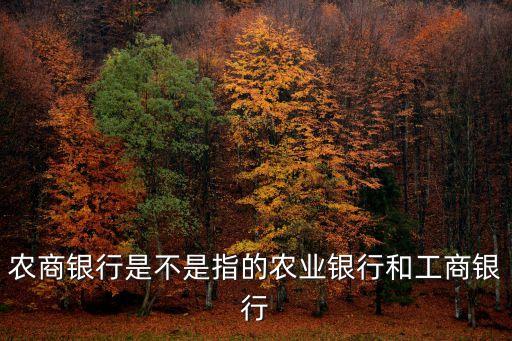 農(nóng)商銀行是不是指的農(nóng)業(yè)銀行和工商銀行