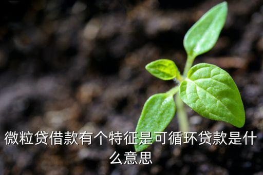 微粒貸二次貸是什么，二次貸是什么意思