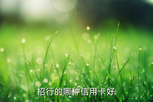 招商信用卡什么卡好用，招商銀行信用卡哪種卡比較好