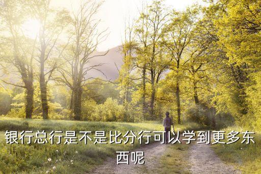 在銀行十年能學(xué)到什么，銀行總行是不是比分行可以學(xué)到更多東西呢