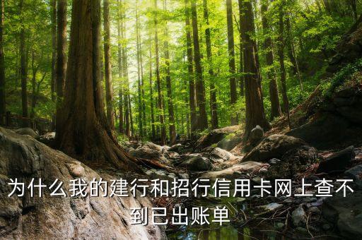 為什么我的建行和招行信用卡網(wǎng)上查不到已出賬單