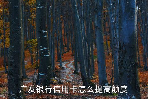 廣發(fā)銀行信用卡怎么提高額度