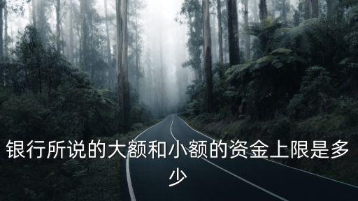 銀行所說的大額和小額的資金上限是多少