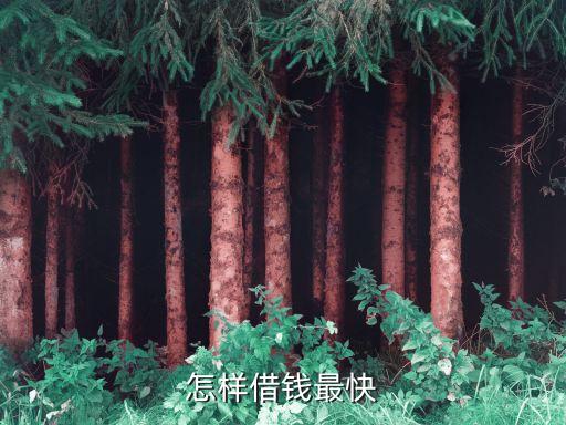 什么辦法借錢最快，有什么快速借錢的方法