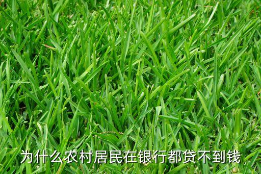 為什么農(nóng)村居民在銀行都貸不到錢