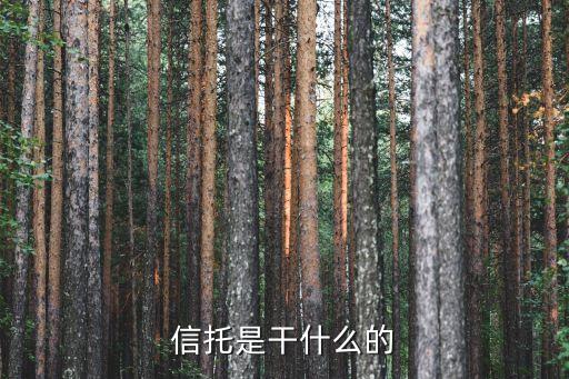 信托是干什么的