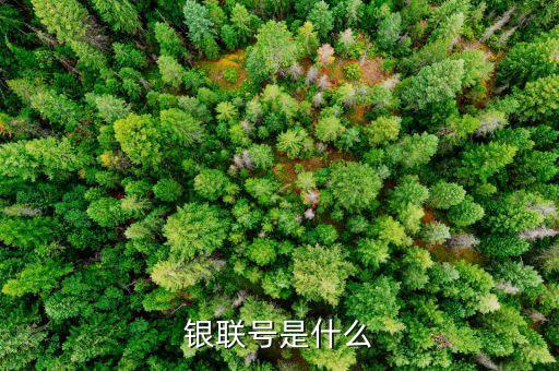 銀聯(lián)碼是什么，銀聯(lián)編碼是什么