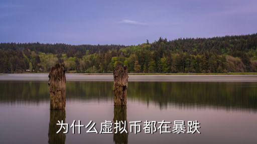 虛擬幣為什么回調(diào)，為什么虛擬幣都在暴跌