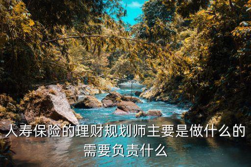 人壽保險(xiǎn)的理財(cái)規(guī)劃師主要是做什么的需要負(fù)責(zé)什么