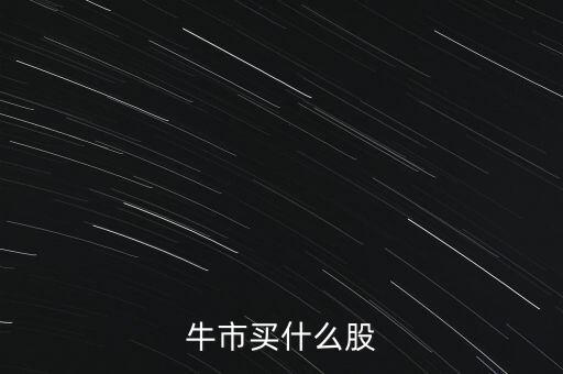 牛市買什么股