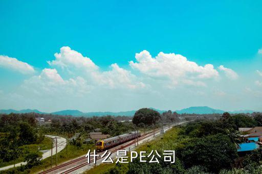 什么是PE公司