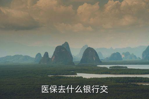 醫(yī)保繳費(fèi)用什么銀行卡，醫(yī)保去什么銀行交