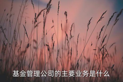 基金管理公司的主要業(yè)務(wù)是什么