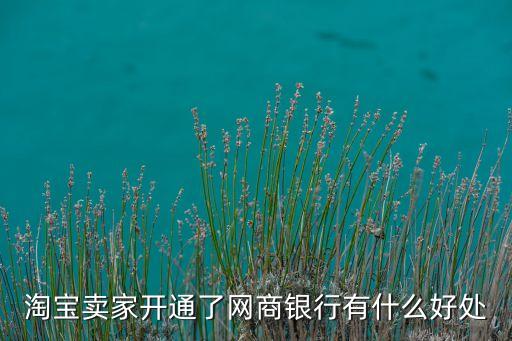網(wǎng)商銀行到底有什么用，網(wǎng)商銀行有什么用