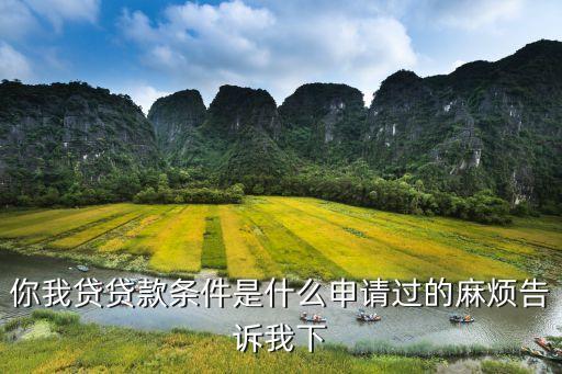 你我貸產(chǎn)品條件是什么意思，你我貸貸款條件是什么申請(qǐng)過(guò)的麻煩告訴我下