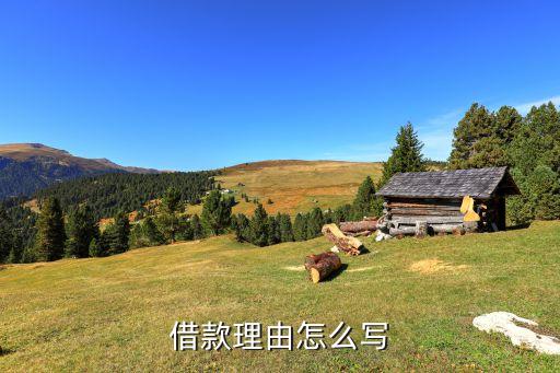 借錢有什么借口，借款理由怎么寫