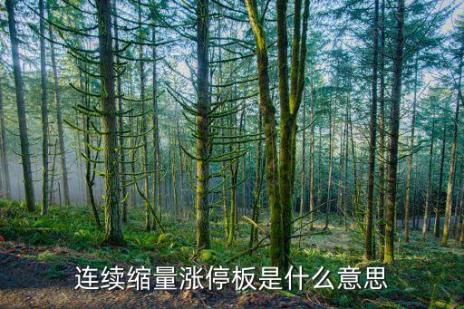連續(xù)縮量漲停板是什么意思