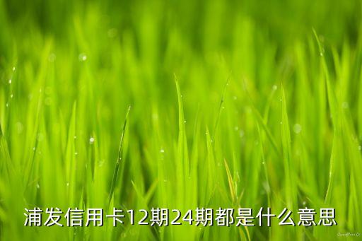 浦發(fā)消費分期是什么，什么是消費分期信用卡
