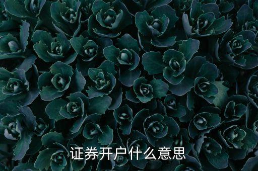 證券開戶什么意思