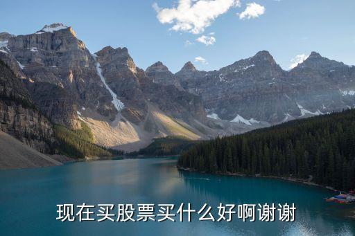 現(xiàn)在買股票買什么好啊謝謝