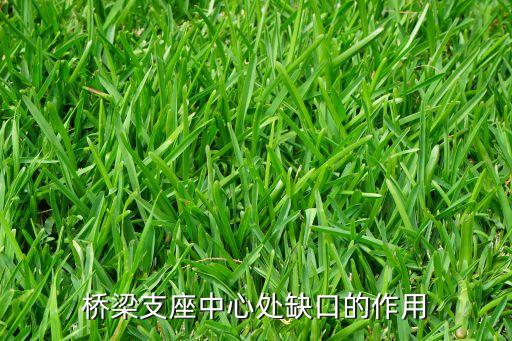 過橋上的缺口是什么用，橋梁支座中心處缺口的作用