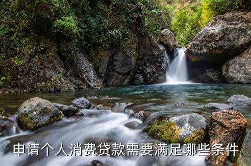 個人貸款支付包括什么條件，個人貸款的條件是什么