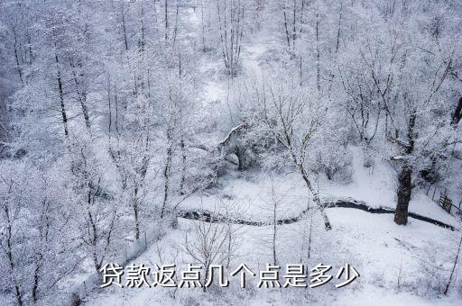 貸款返點幾個點是多少