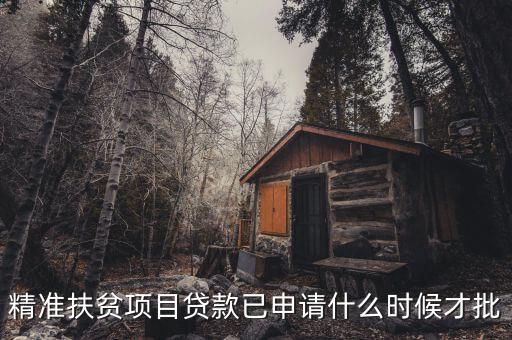 扶貧貸款什么時候能貸，精準扶貧項目貸款已申請什么時候才批