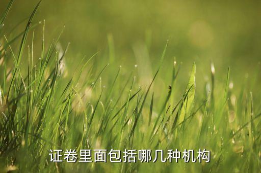 證卷里面包括哪幾種機構